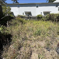 Lawn-Cleanup-in-Conway-SC 7